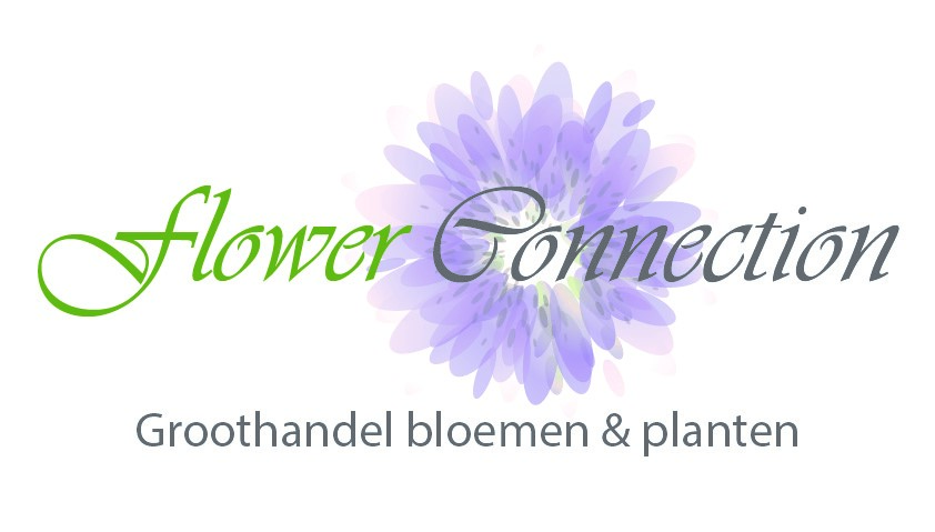 flower_connection